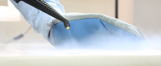 high temperature steam vapour in bacterial killing Get professional results with healthcare bacteria decontamination, using steam vapour